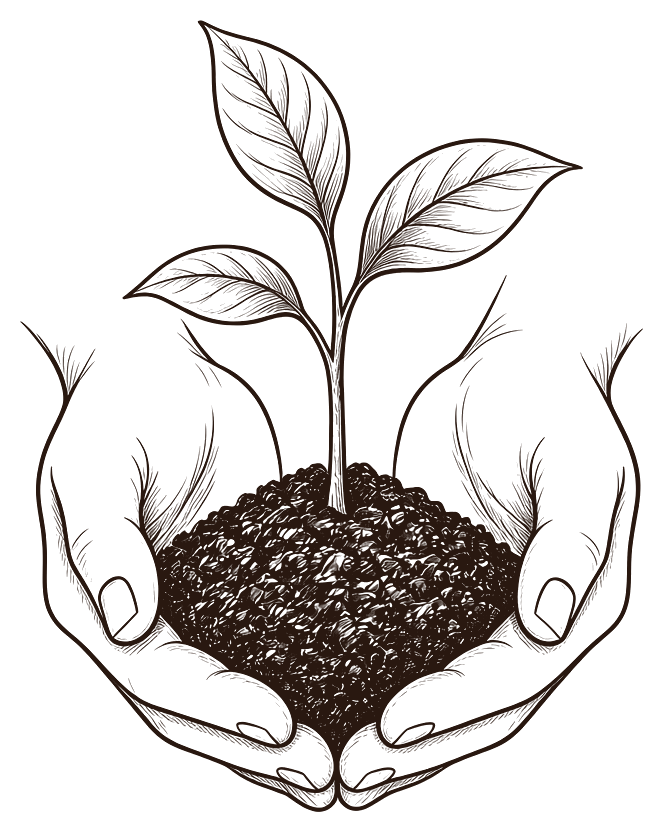 A pair of hands cradling soil with a young seedling growing from it.